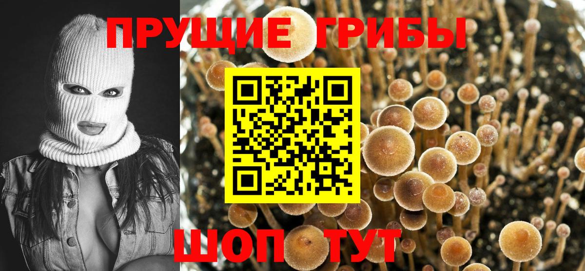 Галлюциногенные грибы GOLDEN TEACHER Назрань